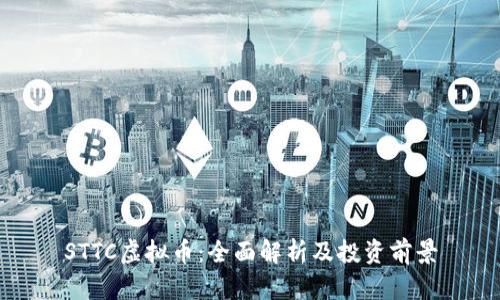 STTC虚拟币：全面解析及投资前景