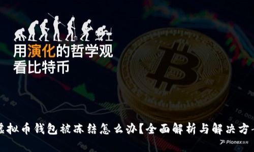 虚拟币钱包被冻结怎么办？全面解析与解决方案