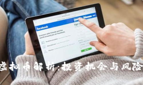 GTO虚拟币解析：投资机会与风险详解