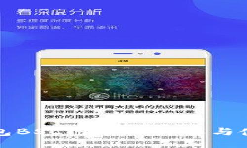 小狐钱包BSC网络ID详解与使用指南