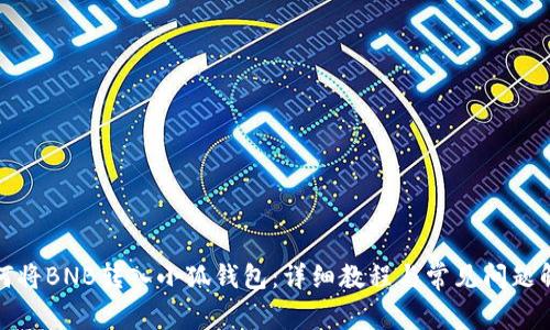 如何将BNB转入小狐钱包：详细教程与常见问题解答