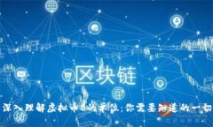 深入理解虚拟币B的单位：