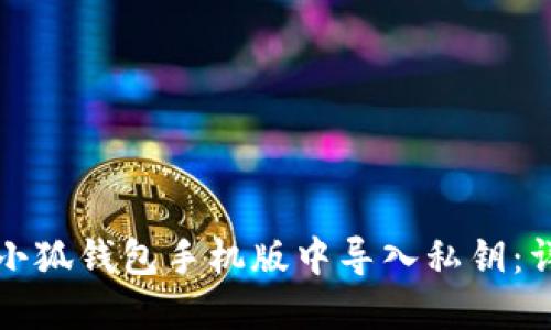 如何在小狐钱包手机版中导入私钥：详细指南