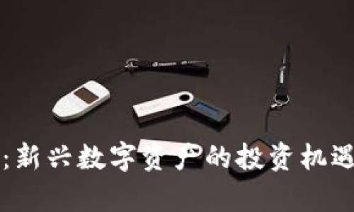 乐平虚拟币：新兴数字资产的投资机遇与风险解析