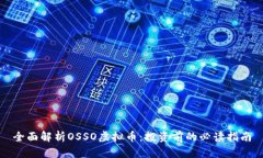 全面解析OSSO虚拟币：投资