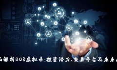全面解析BOR虚拟币：投资