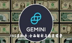 PNS虚拟币：全面解析与投