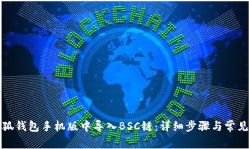 如何在小狐钱包手机版中导入BSC链：详细步骤与常见问题解答
