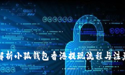 全面解析小狐钱包香港提现流程与注意事项