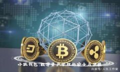 小狐钱包：数字资产管理的安全与便捷