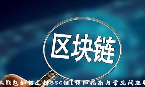 
小狐钱包如何支持BSC链？详细指南与常见问题解答