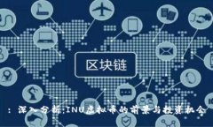 : 深入分析：INU虚拟币的前