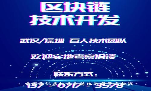 : 中国承认虚拟币合法化的前景与挑战