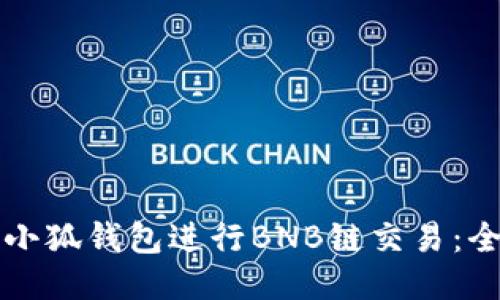 如何使用小狐钱包进行BNB链交易：全方位指南