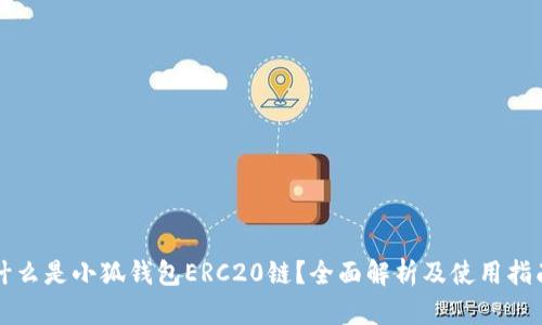 什么是小狐钱包ERC20链？全面解析及使用指南