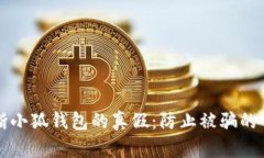 如何判断小狐钱包的真假：防止被骗的全面指南