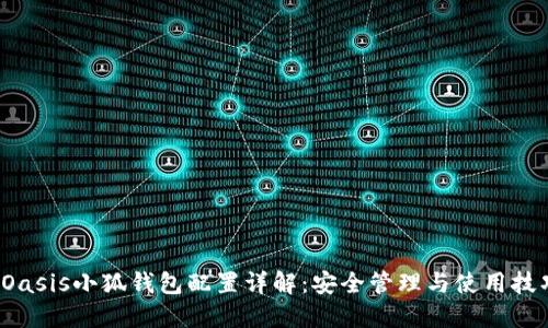  Oasis小狐钱包配置详解：安全管理与使用技巧