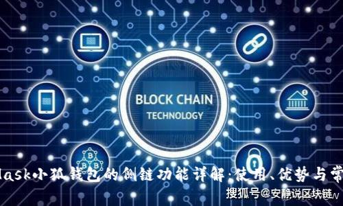 MetaMask小狐钱包的侧链功能详解：使用、优势与常见问题